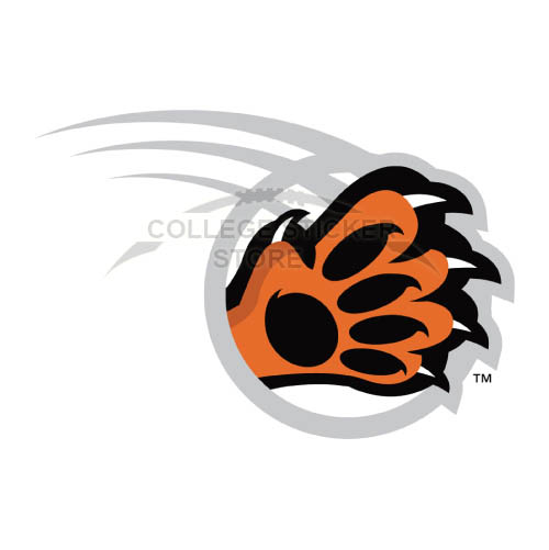 Homemade RIT Tigers Iron-on Transfers (Wall Stickers)NO.6018